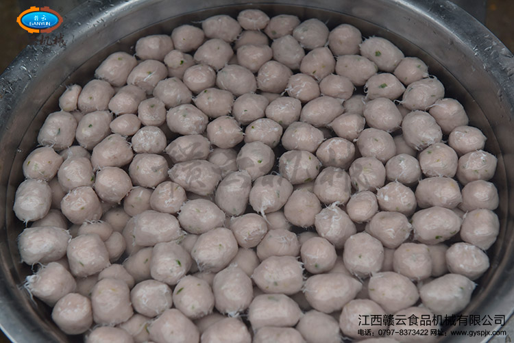 試機(jī)成型的肉丸