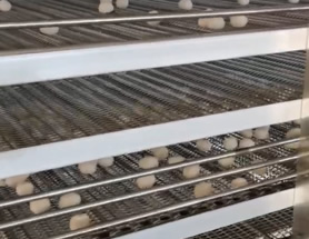 日產(chǎn)萬(wàn)斤