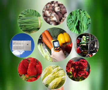 �߲��A�䱣�r��Q���g����