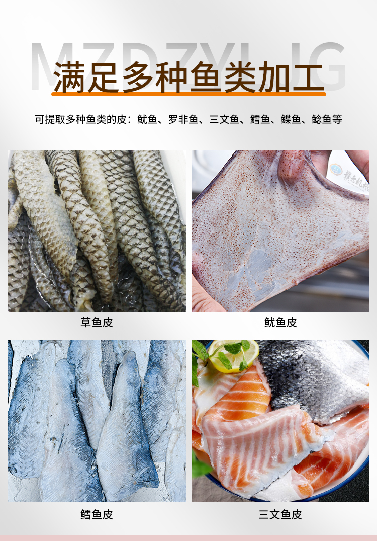 �M���N�~(y��)ӹ�